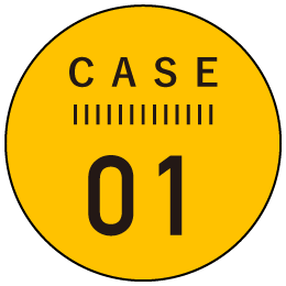 case01